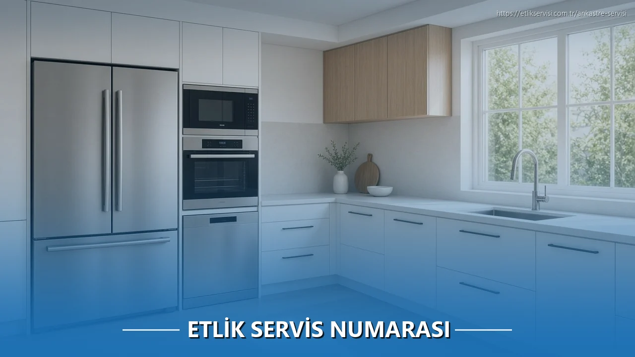 Servis Bakım Hizmetleri
